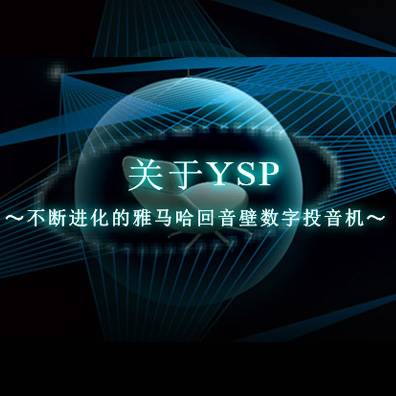 不断进化的庄闲和游戏回音壁数字投音机