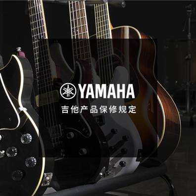 吉他、贝斯和音箱